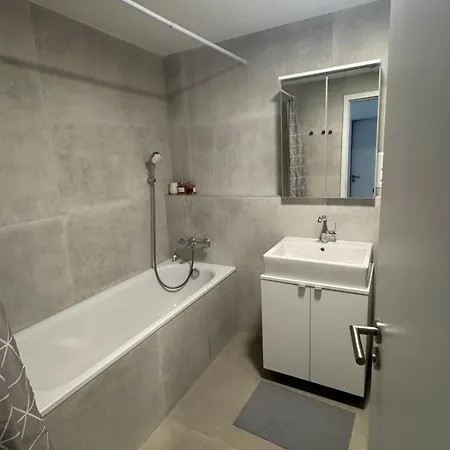 Sky Park By Zaha Hadid- Modern With Garage Apartment *